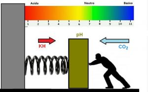 Disegno che spiega l'effetto di KH e CO2 su PH