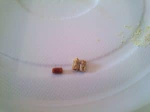 mangime con minociclina