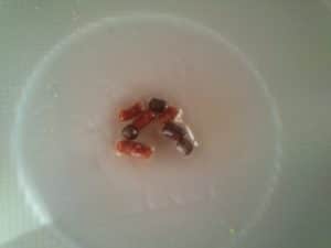 mangime con olio