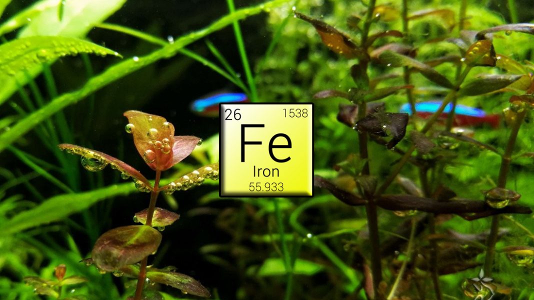 Ferro - Fertilizzanti per acquario