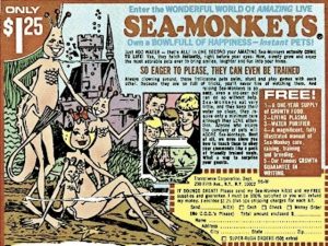 Gioco sea-monkeys