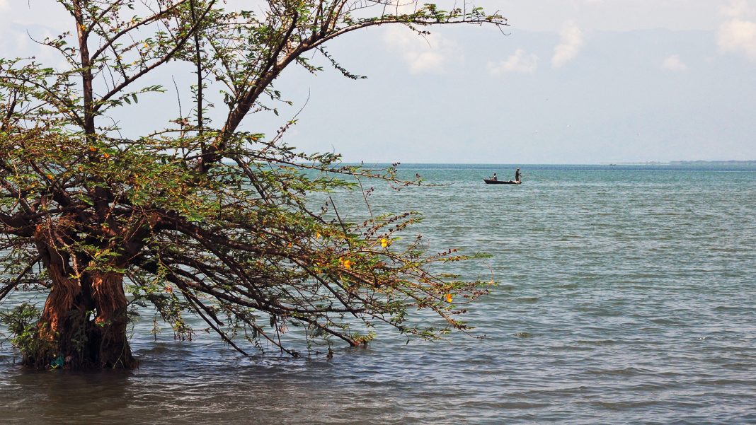 Il Lago Tanganica (o Tanganyika)