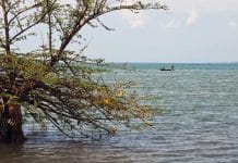 Il Lago Tanganica (o Tanganyika)