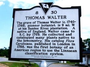 Lapide di Thomas Walter