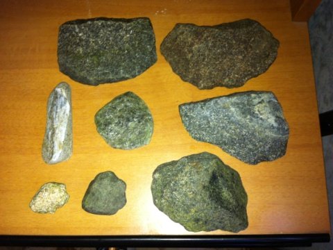 Piant epifite rocce