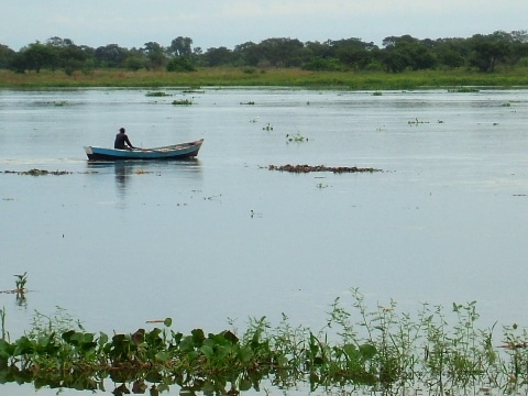 Paraguay river