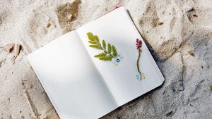 Diario di fertilizzazione