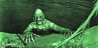 Paludario senza filtro (con piante carnivore)