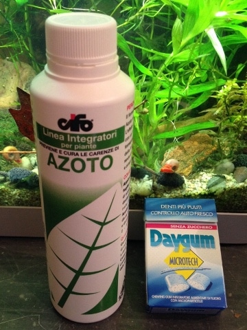 Cifo Azoto e pacchetto di chewingum