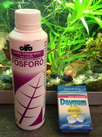 Cifo Fosforo e pacchetto di chewingum