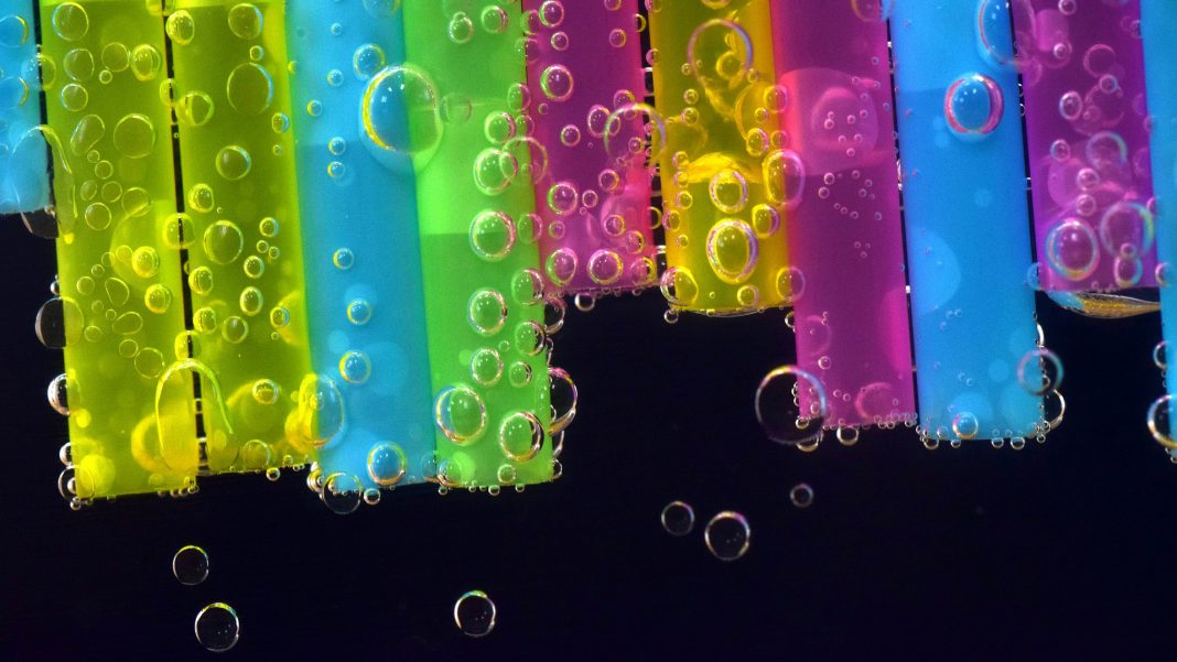 introdurre-piante-stelo-con-cannuccia-copertina