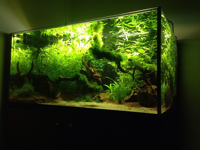 panoramica acquario