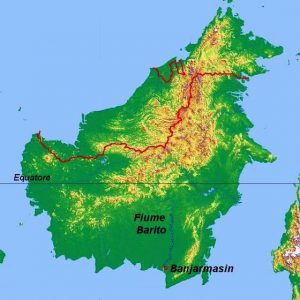 Fiume Barito - Borneo - zona di diffusione delle Boraras brigittae