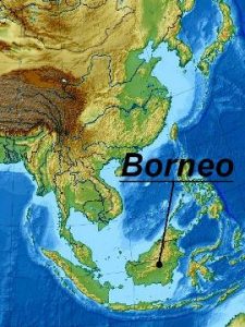 Borneo - zona di diffusione delle Boraras brigittae