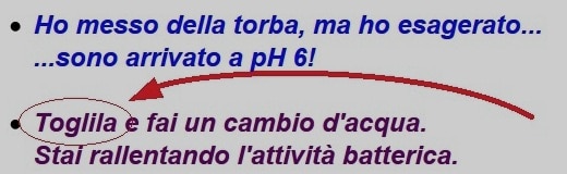 Consiglio di gestione