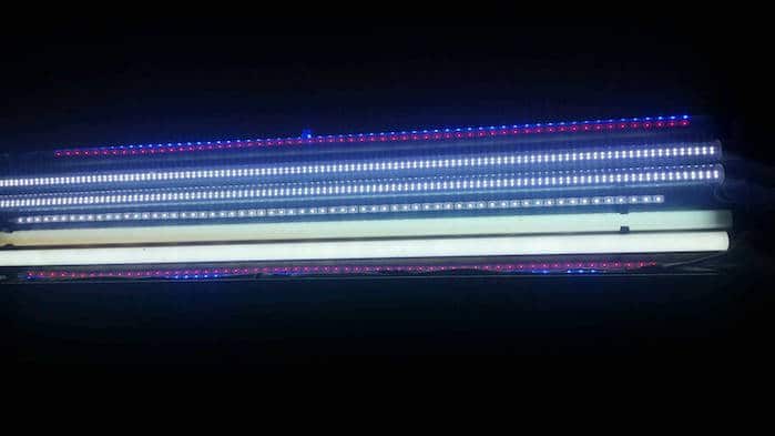 LED