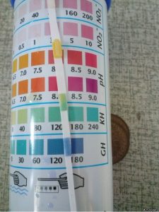 Test strip GH KH