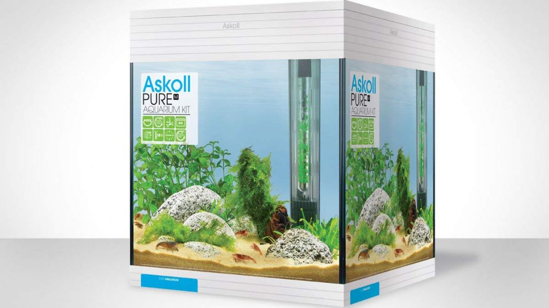 Acquario Askoll Pure