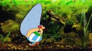 Le rocce in acquario