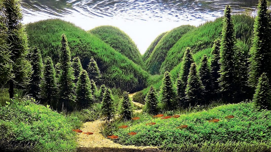 acquario-naturale-copertina L'acquario naturale