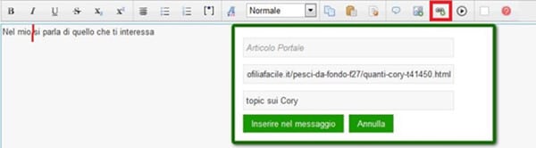 Collegamento esterno