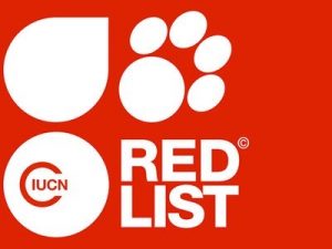 iucn red list logo