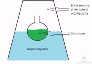 Esempio Bicchiere test co2