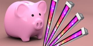 Impianto LED economico e facile 2: la vendetta