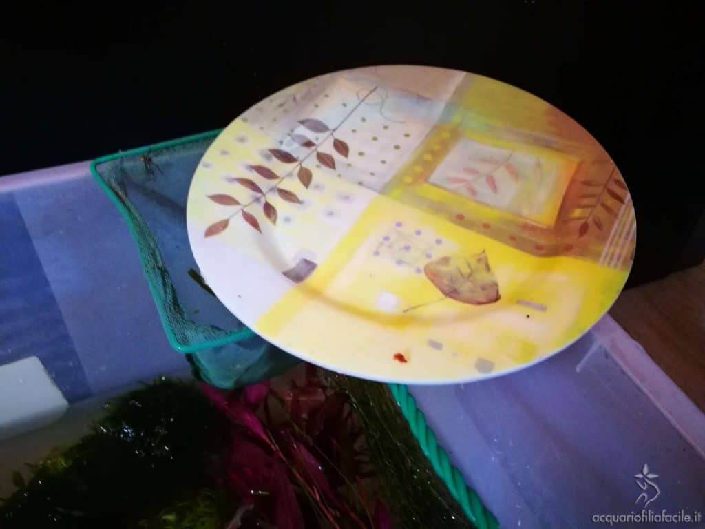 Piattino usato per togliere una parte del fondo di partenza