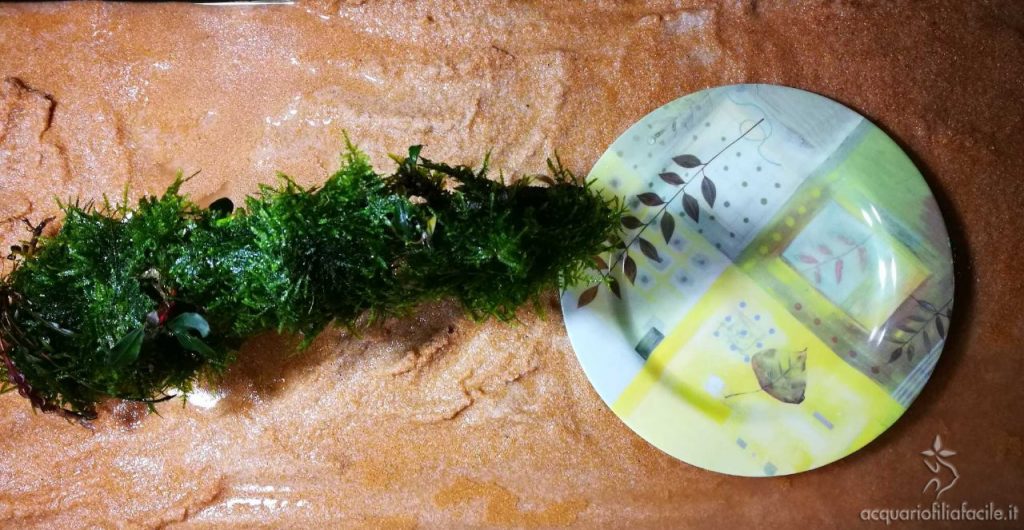 Piattino poggiato sopra la sabbia, per le operazioni di aggiunta acqua