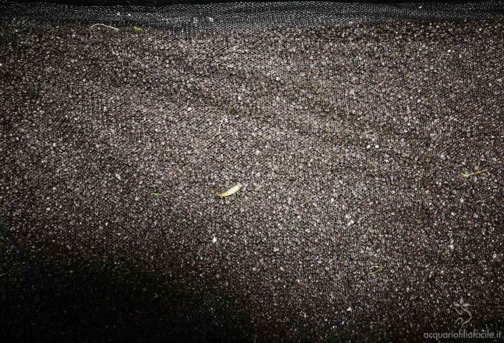 Zanzariera stesa sopra la ghiaia