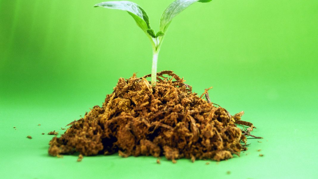 Il terriccio da giardinaggio come fondo fertile