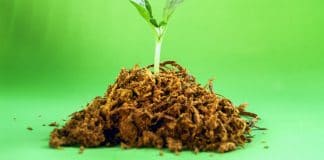 Il terriccio da giardinaggio come fondo fertile