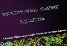 Un aggiornamento di Ecologia dell'acquario di piante