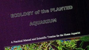 Un aggiornamento di Ecologia dell'acquario di piante