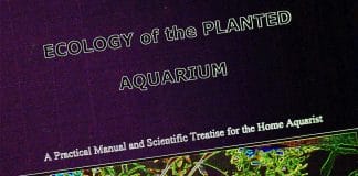 Un aggiornamento di Ecologia dell'acquario di piante