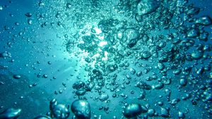 Aeratore in acquario: funzione ed utilità