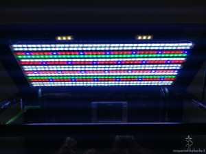 Risultato finale dei LED del Ferplast Cayman 80