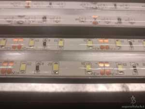 Silicone ai lati delle strip LED del Ferplast Cayman 80
