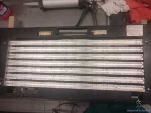 Strip per luce lunare con i LED del Ferplast Cayman 80