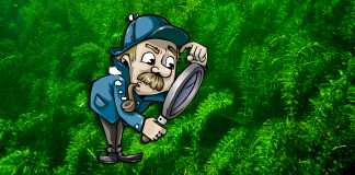 Il test dell'Egeria