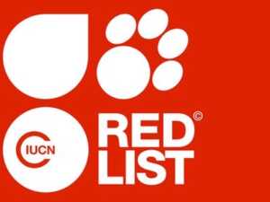 IUCN