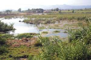 Discovery's place of Rasbora Galaxy