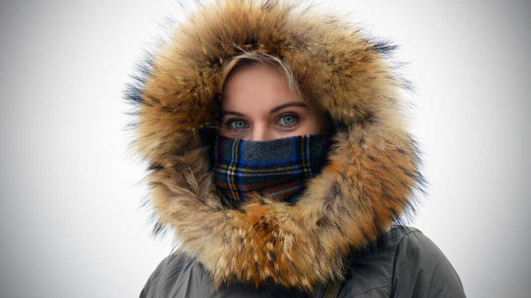 coibentazione-mini-pond-bamboo-copertina Coibentazione mini pond con bamboo