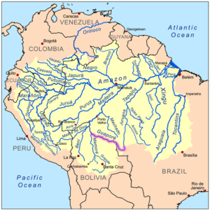 Zone di origine del ram boliviano