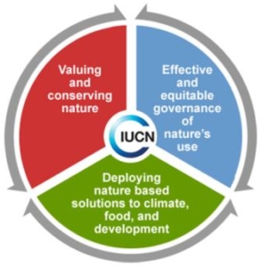 Lista rossa dell'IUCN