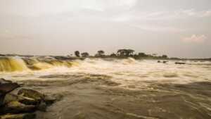 Il fiume Congo in acquario