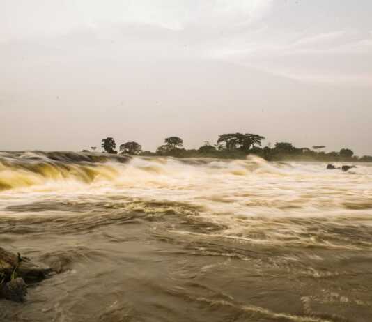 Il fiume Congo in acquario