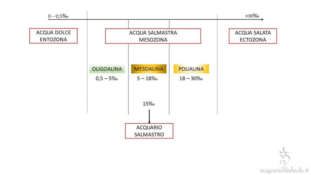 Schema salinità acquario salmastro