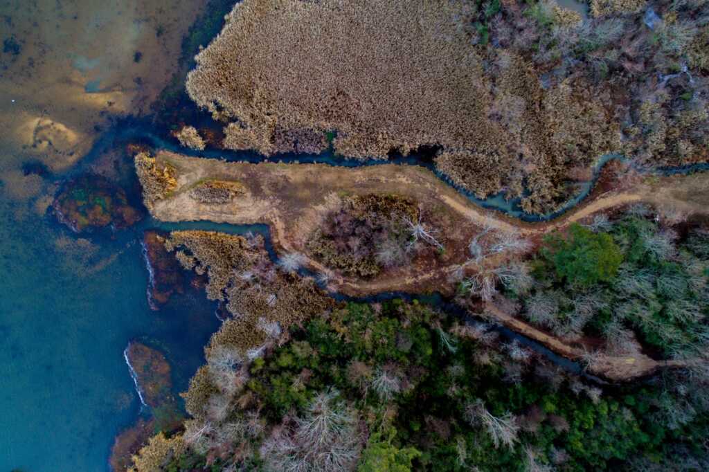 Estuario di un fiume